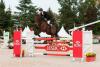 Foto: William Fox-Pitt auf Seacookie TSF - Fotograf: Trevor Holt/FEI