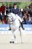 Foto: Derbysieger Lars Petersen mit Willano - Fotograf: Thomas Hellmann