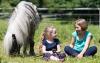Foto: „Pferde für unsere Kinder e.V" bringt Kinder zum Strahlen - Foto: Thomas Hellmann