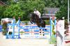 Foto: Philipp Schulze und Colcannon von Cornet Obolensky beim Landeschampionat in Elmshorn - Fotograf: Janne Bugtrup