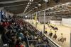 Foto: Die große Reitpony-Quadrille bei der Hengstschau des Ponyverbandes Hannover in Verden - Fotograf: Ponyverband Hannover/ Pantel