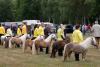 Foto: Parade der Ponyschönheiten: Am 18. und 19. Juni wetteifern in Adelheidsdorf die besten drei- und vierjährigen Ponystuten um den Titel Staatsprämienanwärterin. Auf dem Foto die Rassegruppe der Mini-Shetlandponys bei der Prämierung - Fotograf: Pantel/Ponyverband Hannover