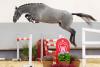 Foto: Preisspitze der Youngster-Auktion Springen: Nr. 16 Unicat v. Up to Date/For Pleasure - Fotograf: Reckimedia