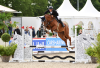 Foto: Siegerstute 2023, Landeschampionesse 2024: Quinta v. Casall und Marvin Jüngel - Fotograf: Janne Bugtrup