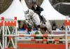 Foto: Quintargo Thorsten Wittenberg - Fotograf: Christian Beeck