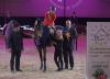 Foto: Lisa Maria Räuber freut sich über die Glückwünsche FEI Steward Franz-Peter Bockholt, sowie Jennifer und Josef Göllner (FEST der PFERDE GRAZ) - Fotograf: Fotoagentur Dill