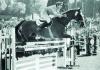 Foto: Raimondo d’Inzeo (ITA), who has passed away at the age of 88, is pictured here riding Posillipo on his way to individual Olympic gold in Rome 1960.