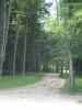 Foto: neuangelegter Waldweg, wo im Rahmen des CSI2* in Ranshofen (22.-25. August) eine große Ausstellung stattfinden wird.