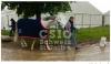 Foto: Vet-Check - Fotograf: CSIO St. Gallen 
