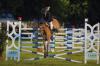 Foto: Das Speed Derby des Pferdefestivals in MV tut gut. Und birgt beste Aussichten - Fotograf: Stefan Lafrentz