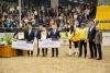 Foto: Hannoveraner Stute des Jahres: St.Pr.St. Reverie v. Rubiloh/Ehrentusch - Fotograf: Hannoveraner Verband