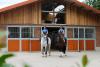 Foto: Reitanlage Alte Eichen - Fotograf: Röwer & Rüb 
