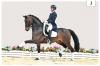 Foto: Der M-Dressur siegreiche Roncevall OLD v. Romanov Blue Hors - Fotograf: OLD Art