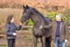 Foto: Rubin Royal OLD mit seiner Züchterin Harli Seifert und an der Hand von Wolfgang Stagge, Betriebsleiter des DLZ - Fotograf: Fotograf: www.Equitaris.de / Becker 