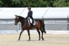 Foto: Manfred Rust (NÖ) liegt als bester Österreicher mit Hugo Holiday in der CCI** auf Platz sieben - Fotograf: Daniel Dunst – dquadr.at 