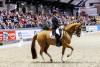 Foto: Harmonie zwischen Pferd und Reiter: Justin Verboomen (BEL) und Djembé de Hus OLD - Fotograf: sportfotos-lafrentz.de