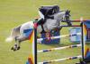 Foto: Felix Haßmann ist für blitzschnelle Runden beim CHI bekannt - Fotograf: www.sportfotos-lafrentz.de