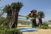 Foto: Peder Fredricson - Fotograf: sportfotos-lafrentz.de