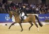 Foto: Trabten schnurstracks zum Sieg im Louisdor-Preis-Finale. Isabell Werth und Emilio - Fotograf: Stefan Lafrentz