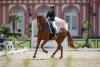 Foto: Johanna Sieverding aus Cappeln mit ihrer Stute Lady Danza - Fotograf: www.sportfotos-lafrentz.de