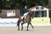 Foto: Frederic Wandres heißt der Sieger im Almased 61. Deutschen Dressur-Derby - Fotograf: Thomas Hellmann 