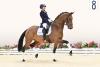 Foto: Saint Lavinia v. Vitalis - Sandro Hit - Canaster I - Fotograf: OLD Art