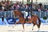 Foto: Siergerin des Grand Prix' Ulla Salzgeber mit Herzruf's Erbe - Fotograf: a-focus altenhofer 