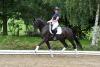 Foto: Der vierjährige Klassenprimus Sam - Fotograf: Sabine Wegener/Equitaris
