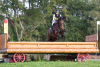 Ingrid Klimke (GER) and Horseware Hale Bob, cross country leaders after a superb fast round at Les Etoiles de Pau, the opening leg of the FEI Classics™ 2014/2015. (Trevor Holt/FEI) 