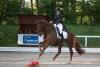 Foto: Mit richtig viel Schwung geht es auf der Reitanlage Klövensteen in Schenefeld in den Auftakt der NORDIC GP Dressage Trophy. 2023 eröffnete Fabienne Müller-Lütkemeier die vierteilige Serie mit einem Sieg - Fotograf: TG