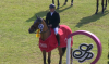 Foto: Günter Schmaus/Casinjo Ex Z - Fotograf: Screenshot ClipMyHorse.TV