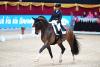 Foto: Dorothee Schneider begeisterte im CDI4* Grand Prix Special. (c) Daniel Kaiser Dreamteam: Paul Jöbstl und Elastico - Fotograf: Daniel Kaiser 