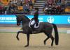Foto: Dorothee Schneider (GER) (Ullrichequine’s Emiliion) ist die Dressurqueen im Nürnberger Dressage Grand Prix Special. - Fotograf: Fotoagentur Dill