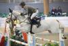 Foto: Top Reiter Pius Schwizer (Sieger in der Gold Tour) - Fotograf: Manfred Leitgeb 