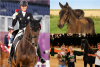 Foto: TSF Dalera BB bei den Olympischen Spielen in Tokio und als Fohlen. Unten rechts Daleras Züchterin Silke Druckenmüller mit Reiterin Jessica von Bredow-Werndl und Daleras Mutter Dark Magic. - Fotografen: (c) Stefan Lafrentz, privat 