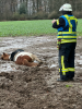 Foto: Das Pferd liegt hilflos im Matsch - Fotograf: Feuerwehr Bad Salzuflen