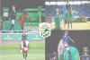 Foto: Rolex Grand Slam Majors - Fotograf: Rolex