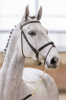 Foto: Kat.-Nr. 3 Celana - Fotograf: M&M CLASSICO Hybrid-Auktion