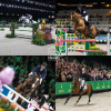 Foto: Collage der vier Champions - Fotografen: Fotos: TDM/Remco Veurink TDM/Digishots