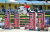 Foto: Rexter D'Or - Fotograf: Haras du Semnon