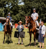 Foto: Siegerehrung - Fotograf: PSV Steinhagen