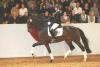 Foto: Preisspitze 2018 - Scrollan von San Amour-Fidermark