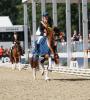 Foto: : Bundeschampionesse der dreijährigen Reitpferde Senorita la Bonita eröffnet das Handorfer-Auktionsfestival - Fotograf: Reckimedia