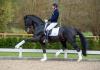Foto: Sezuan unter Patrik Kittel/SWE 