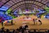 Foto: Der Ponyhof Johannsen entführte eine vollbesetzte Holstenhalle in die bunte und aufregende Welt des Zirkus - Fotograf: sportfotos-lafrentz.de