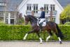 Foto: Si Bon unter Hermann Gerdes - Fotograf: Equitaris.de/Grömping