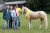 Foto: Siegerstute bei den Deutschen Reitponys im Ponyverband Hannover 2016: Reitlands Celebration v. High Flows Oxford (v.l.): Helmut Klindworth (Besitzer, Joachim Glienke (1. Vors. BV Stade), Lenert Busch (Züchter), Christoph Klindworth (Sohn des Besitzers). - Fotograf: Ponyverband Hannover/ Pantel