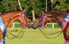 Foto: Die Siegerstuten Tiramisu (l.) v. Toulon und Faraglioni (r.) v. Feinrich - Fotograf: LL-Foto