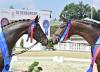 Foto: Die Siegerstuten Only you v. Ogano und Casey v. Sir Donnerhall I - Fotograf: Gr. Feldhaus