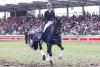 Foto: Hatte gut lachen - Grand Prix-Siegerin Simone Alexandra Pearce mit Cadeau Noir - Fotograf: Andreas Pantel